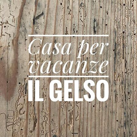 Appartamento Per Vacanze "Il Gelso" Rovereto  Eksteriør billede