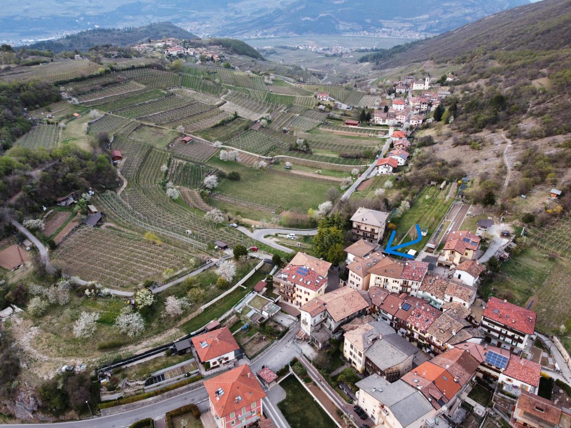 Appartamento Per Vacanze "Il Gelso" Rovereto  Eksteriør billede